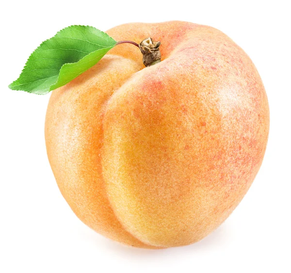 Ripe apricot fruit. Clipping paths. — Stock Photo, Image