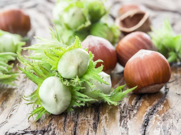 Young hazelnuts and ripe brown hazelnuts on the wooden table. — Stock Photo, Image