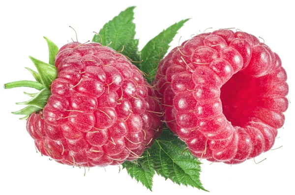 Two raspberries with leaves on the white background. — Stock Photo, Image