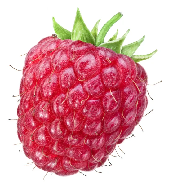 Ripe raspberry. File contains clipping paths. — Stock Photo, Image