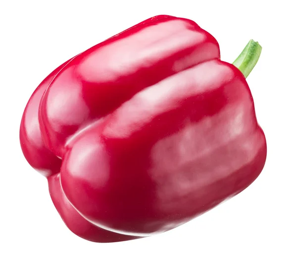 Červená paprika na bílém pozadí. — Stock fotografie