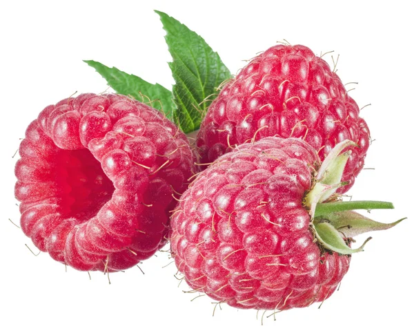 Three raspberries with leaves on the white background. — Stock Photo, Image