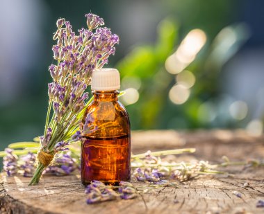 Grup lavandula veya lavanta çiçekleri ve petrol şişe are üstünde