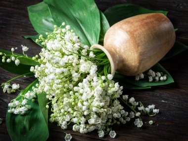 Lily vadi buket ahşap tablo.