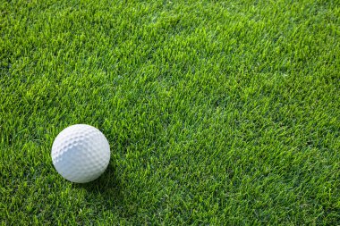 Golf topu yeşil çimenlerin üzerinde vurmak için hazır.