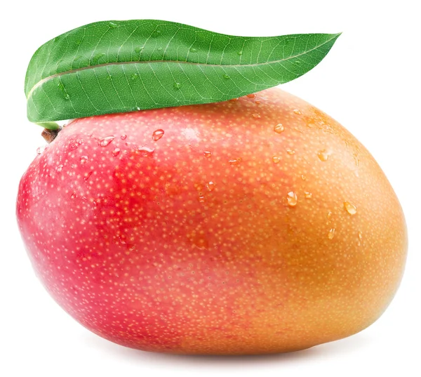 Φρούτα μάνγκο με φύλλο που απομονώνονται σε λευκό φόντο. — Φωτογραφία Αρχείου
