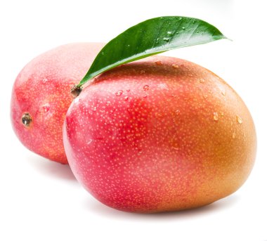 Su damlaları ile mango meyve. Beyaz bir arka plan üzerinde izole.