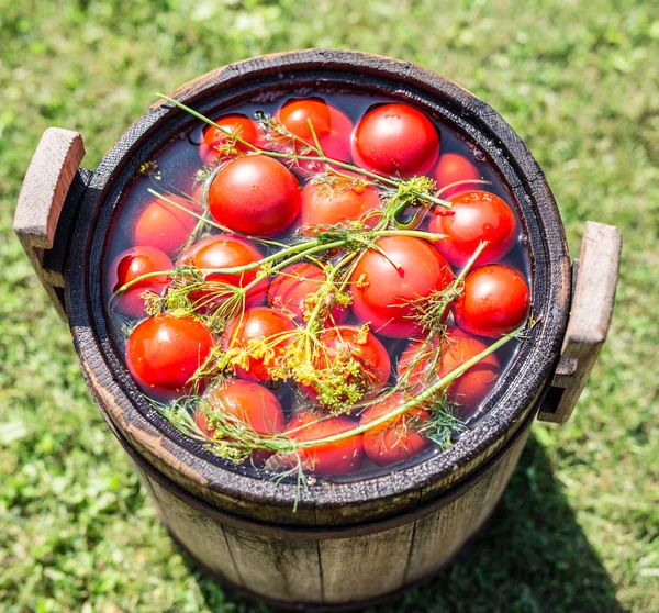 Pomodori sottaceto con erbe nella botte di legno . — Foto Stock