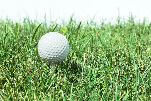 Pallina da golf pronta per essere colpita sull'erba verde . — Foto Stock