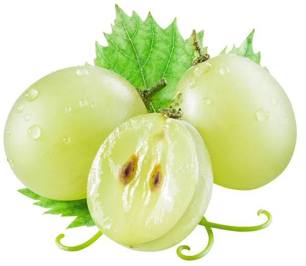 Fehér szőlő bogyók zöld levél. Vágógörbék. — Stock Fotó