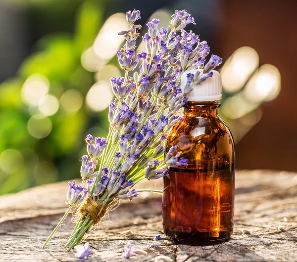 Ramo de flores de lavanda o lavanda y botella de aceite están en el —  Fotos de Stock