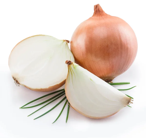 Cebollas bulbo y cebollas verdes aisladas sobre un fondo blanco . — Foto de Stock