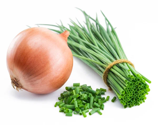 Cebolas verdes e cebola bulbo isolado no fundo branco . — Fotografia de Stock