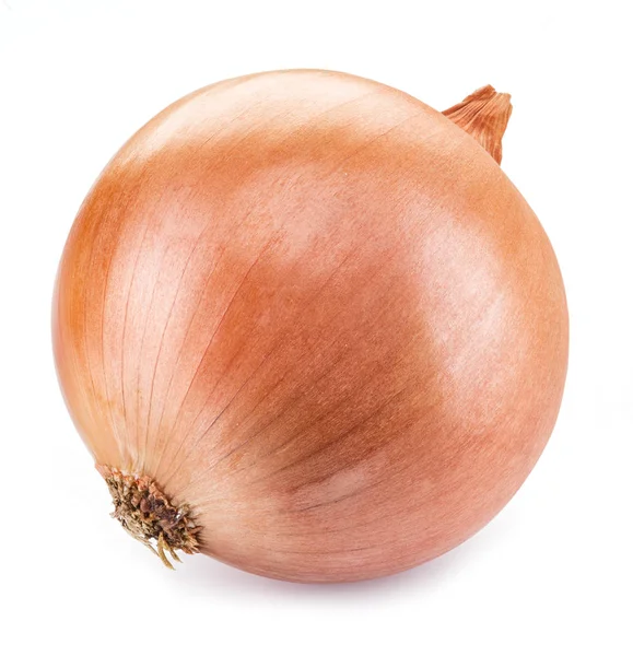 Bulb onion isolated on a white background. — Stock Photo, Image