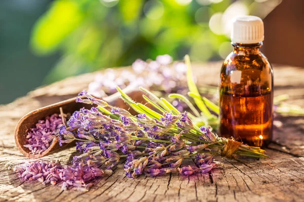 Gäng lavandula eller lavendel blommor och olja flaska är på den — Stockfoto
