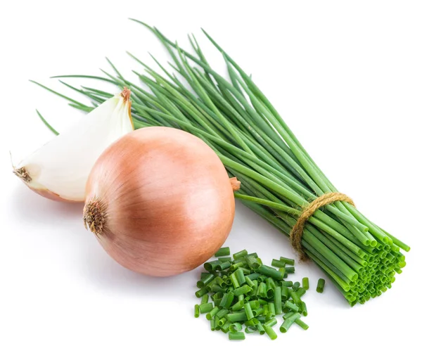 Green onions and bulb onion isolated on the white background. — Stock Photo, Image