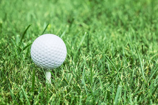 Boule de golf prête à être frappée sur l'herbe verte . — Photo