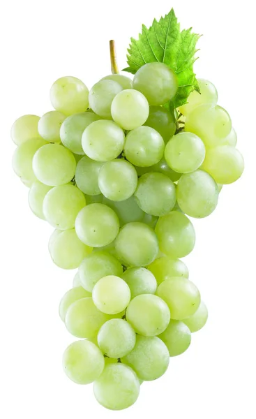 Um bando de uvas brancas. Arquivo contém caminhos de recorte . — Fotografia de Stock