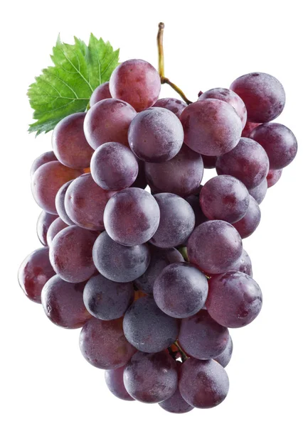 Un racimo de uvas rojas. El archivo contiene rutas de recorte . — Foto de Stock