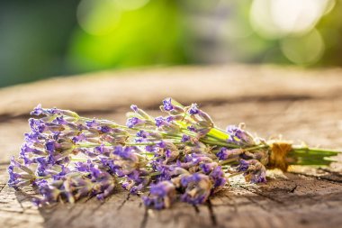 Eski ahşap masaya lavandula veya lavanta çiçek demet.