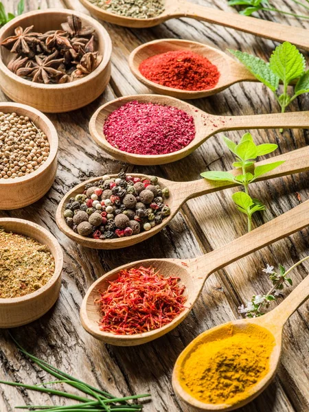 Assortment of colorful spices in the wooden spoons. — Stock Photo, Image