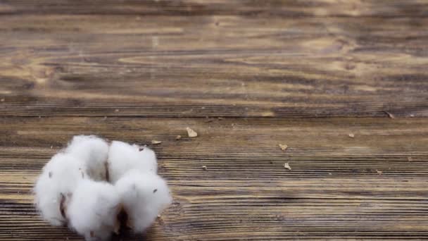 Fleurs de coton mûres tombant sur la surface en bois. Au ralenti. 120 ips . — Video