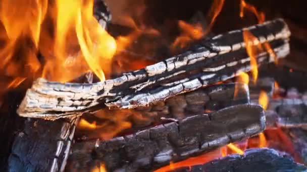 Oak wood burning in the fireplace. Slow motion. 120 fps. — Stock Video