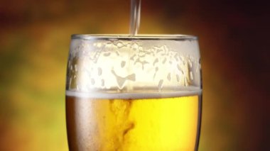 Bira bardağına en baştan yağıyor. 4k video.