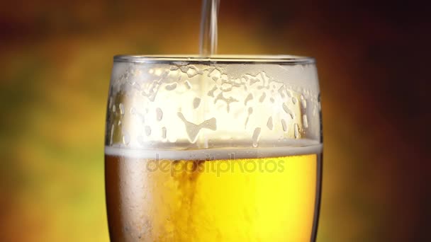Bier is gieten van boven in het glas. 4k video. — Stockvideo