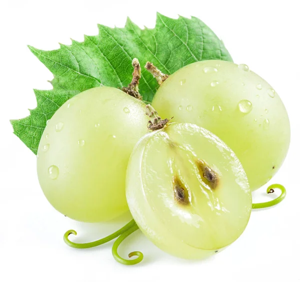 Tres uvas con hoja sobre fondo blanco . —  Fotos de Stock