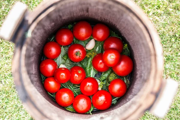 Tomates em conserva com ervas no barril de madeira . — Fotografia de Stock