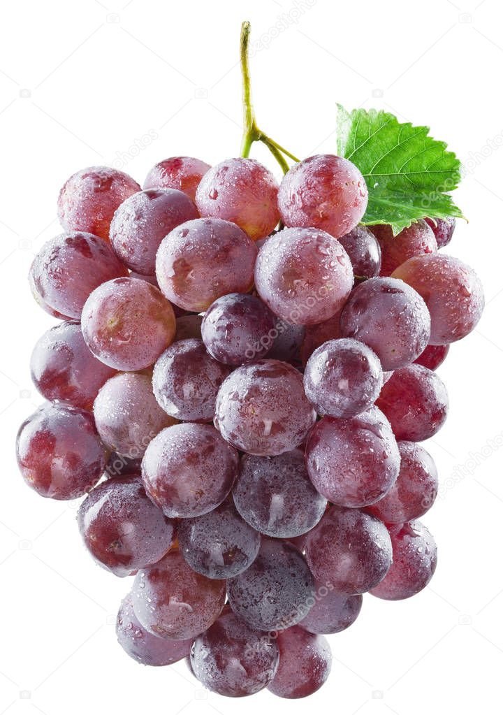 Bunch of red grapes. Clipping paths.