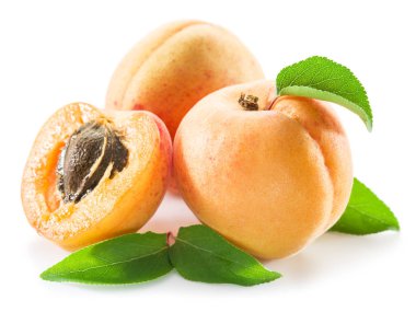 Kayısı ve beyaz zemin üzerine onun kesit.