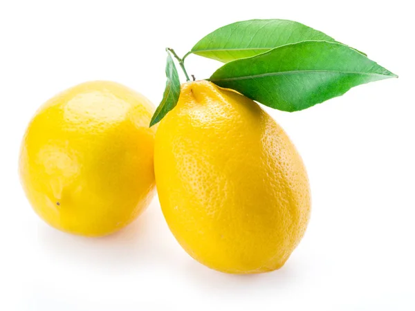 白い背景の上の葉で熟したレモンの果実. — ストック写真