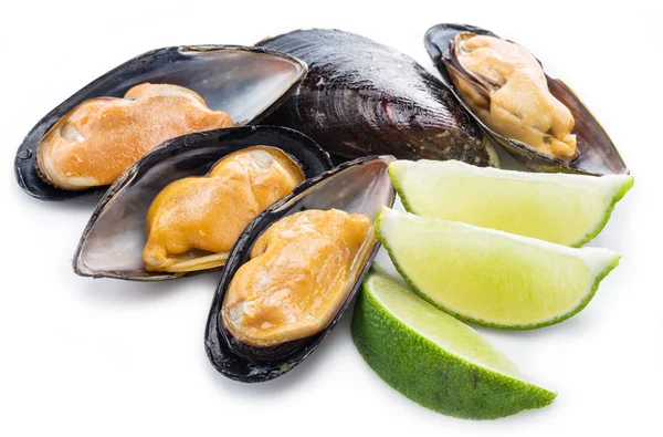 Mussels on a white background. — Stock Photo, Image