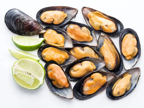 Moules sur fond blanc. — Photo