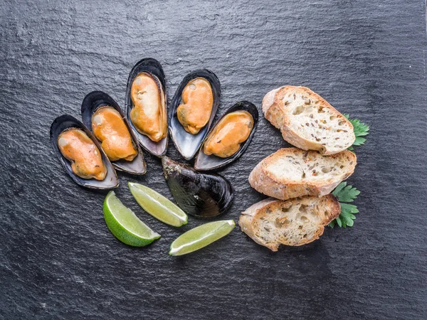 Muscheln auf dem Graphithintergrund. — Stockfoto