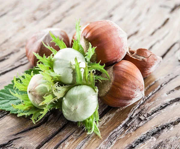 Unga hasselnötter och mogna bruna hasselnötter på tabellen trä. — Stockfoto