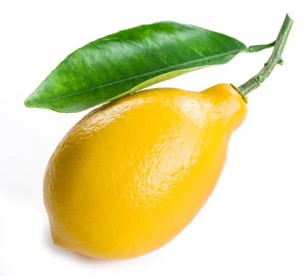 Frutto maturo al limone con foglia sullo sfondo bianco . — Foto Stock