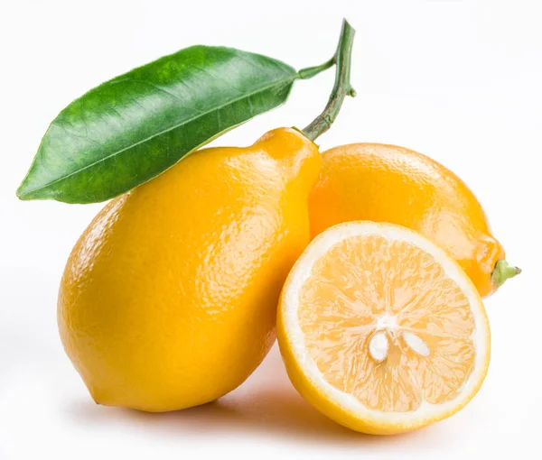 Ripe lemon fruits on the white background. — Stock Photo, Image