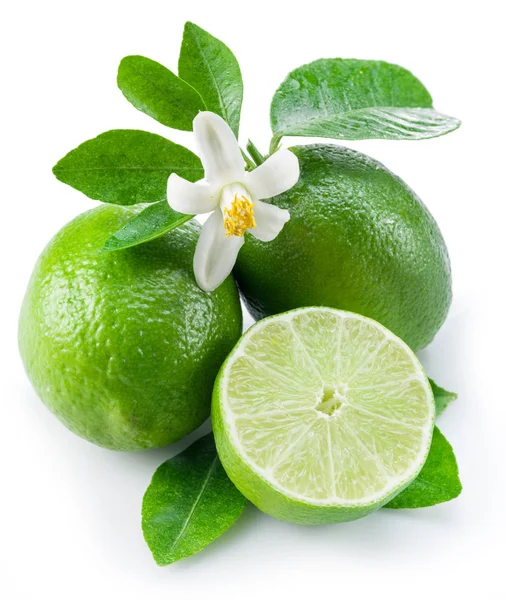 Fruits de lime mûrs sur le fond blanc . — Photo