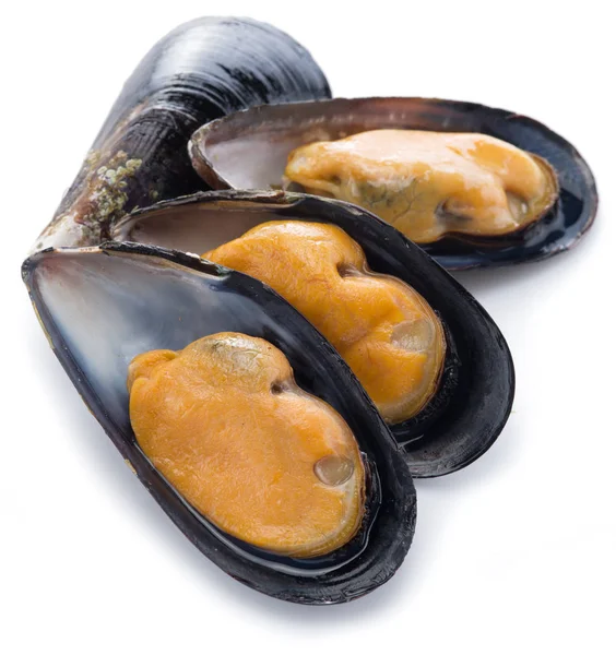 Mussels on a white background. — Stock Photo, Image