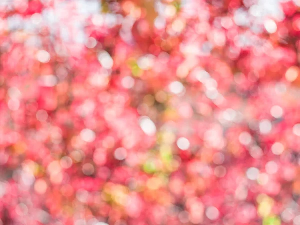 Verwischte rote Blätter. Hintergrund Natur. — Stockfoto
