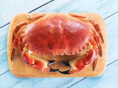 Pişmiş kahverengi yengeç veya izole yenilebilir Yengeç.