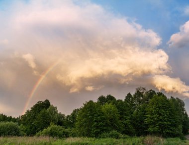 Gökkuşağının üstünde ağaçlar. Bulutlu gökyüzü. 