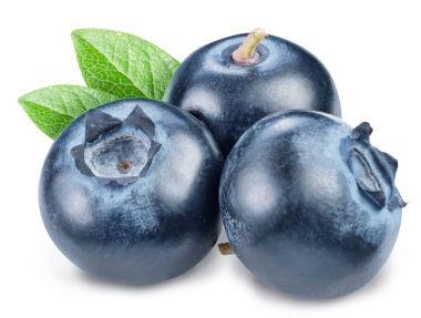 Yaban mersini ve yaban mersini yaprağı. Makro vurdu. Dosyada, cl