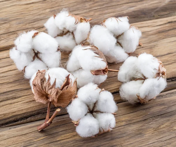 Fluffy cotton ball of cotton plant on the wooden table. — Stock Photo, Image