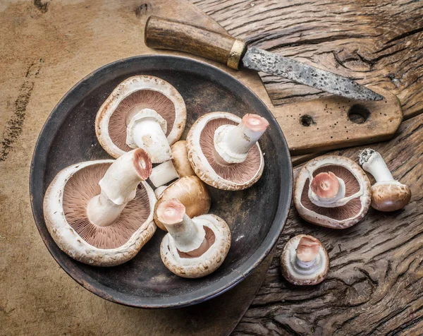 Champignon svampar på tabellen trä. — Stockfoto