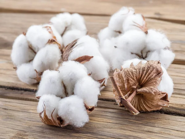 Fluffy cotton ball of cotton plant on the wooden table. — Stock Photo, Image