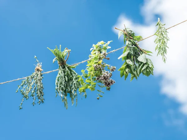 Bundles of flavoured herbs drying on the open air. Sky backgroun — Stock Photo, Image